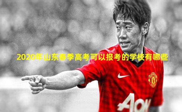 2020年山东春季高考可以报考的学校有哪些