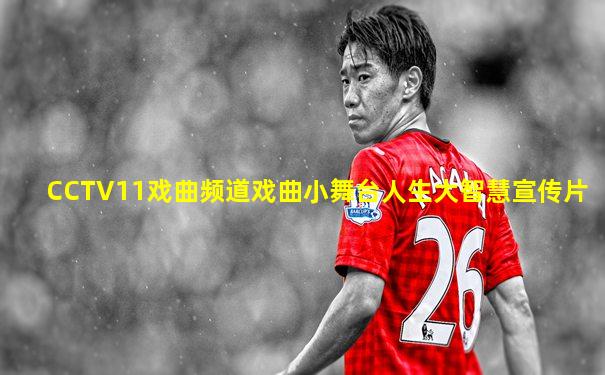 CCTV11戏曲频道戏曲小舞台人生大智慧宣传片