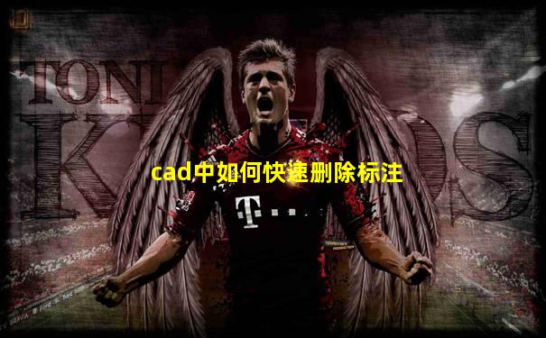 cad中如何快速删除标注