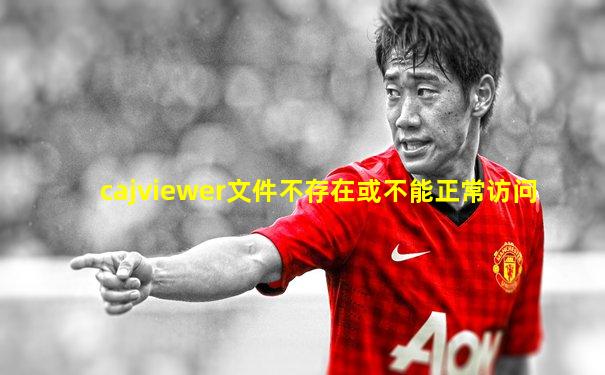 cajviewer文件不存在或不能正常访问