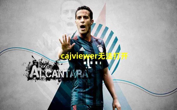 cajviewer无法打开