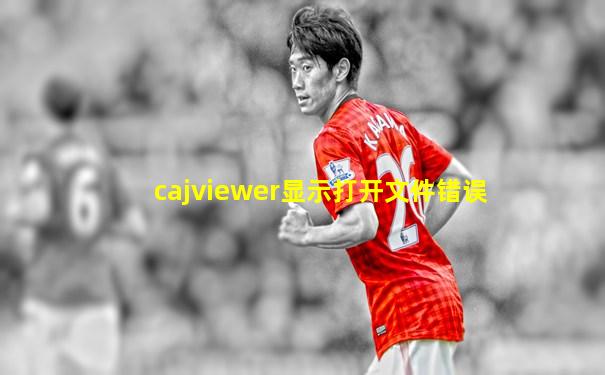 cajviewer显示打开文件错误