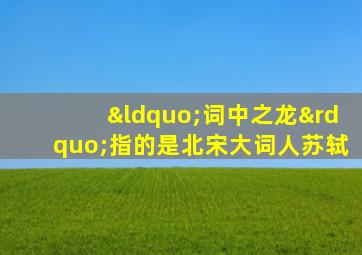 “词中之龙”指的是北宋大词人苏轼