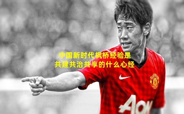 中国新时代枫桥经验是共建共治共享的什么心经