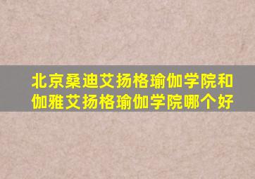 北京桑迪艾扬格瑜伽学院和伽雅艾扬格瑜伽学院哪个好