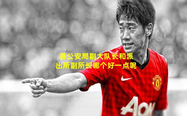 县公安局副大队长和派出所副所长哪个好一点呢