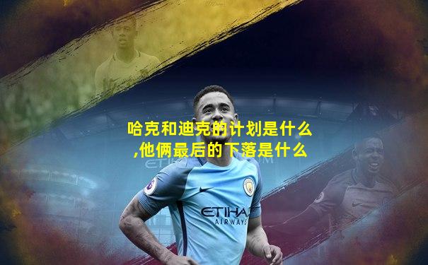 哈克和迪克的计划是什么,他俩最后的下落是什么