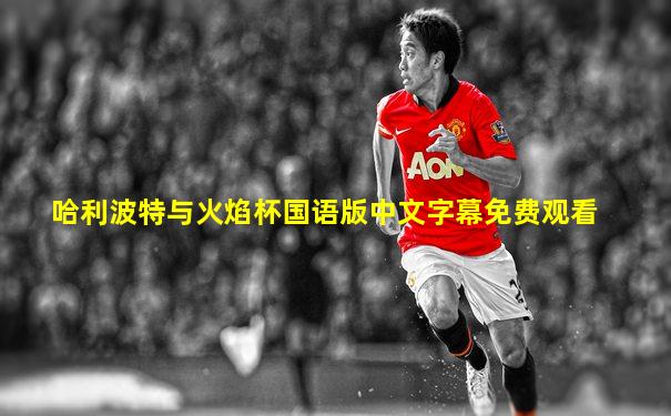 哈利波特与火焰杯国语版中文字幕免费观看