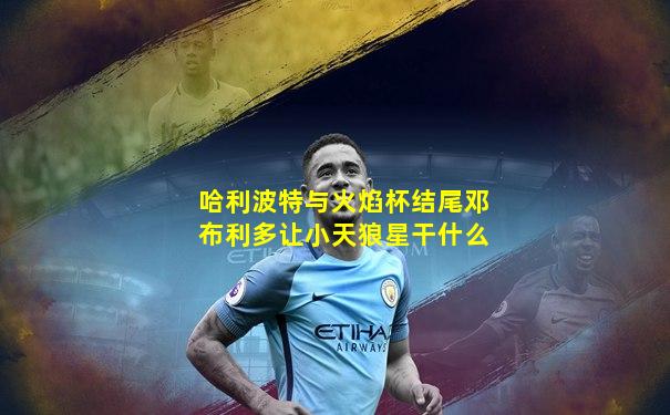 哈利波特与火焰杯结尾邓布利多让小天狼星干什么