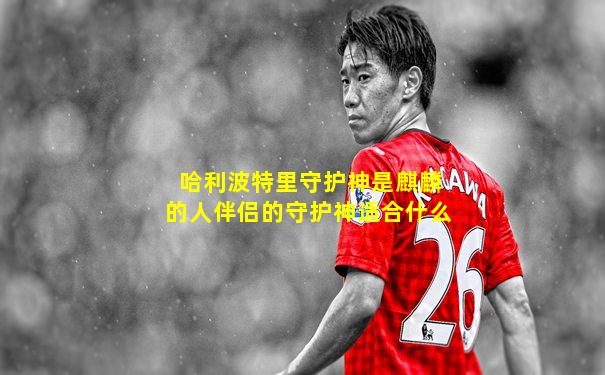 哈利波特里守护神是麒麟的人伴侣的守护神适合什么