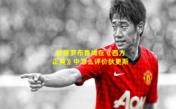 哈德罗布鲁姆在《西方正典》中怎么评价狄更斯