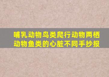 哺乳动物鸟类爬行动物两栖动物鱼类的心脏不同手抄报