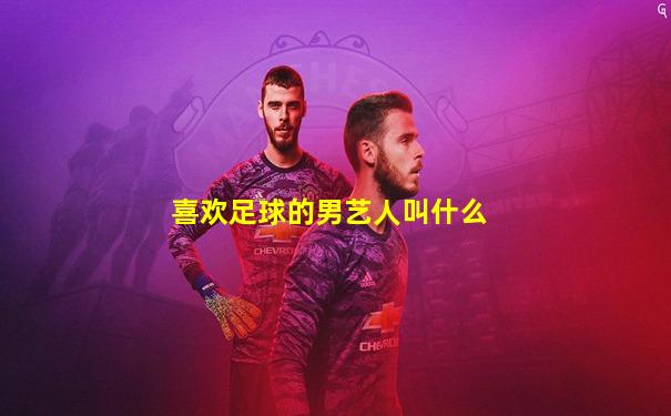 喜欢足球的男艺人叫什么