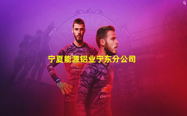 宁夏能源铝业宁东分公司