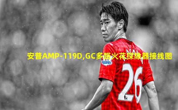 安普AMP-119D,GC多路火花探除器接线图