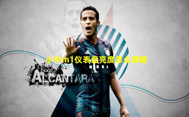小牛m1仪表盘亮度怎么调暗