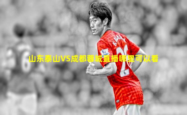 山东泰山VS成都蓉城直播哪里可以看