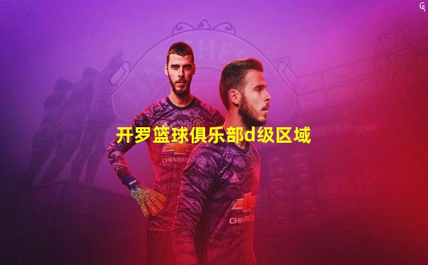 开罗篮球俱乐部d级区域