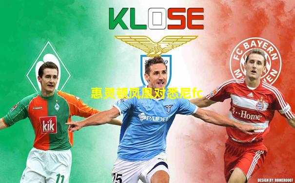 惠灵顿凤凰对悉尼fc