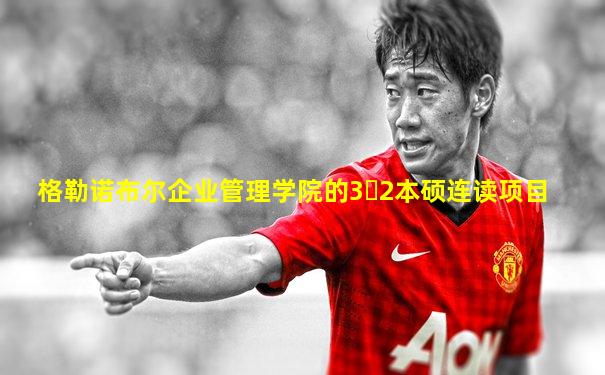 格勒诺布尔企业管理学院的3➕2本硕连读项目