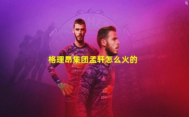 格理昂集团孟轩怎么火的