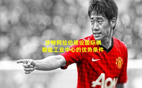 沙特阿拉伯建设国际磷酸盐工业中心的优势条件