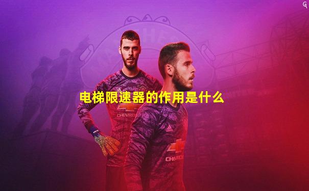 电梯限速器的作用是什么