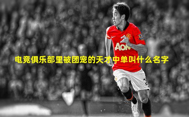 电竞俱乐部里被团宠的天才中单叫什么名字