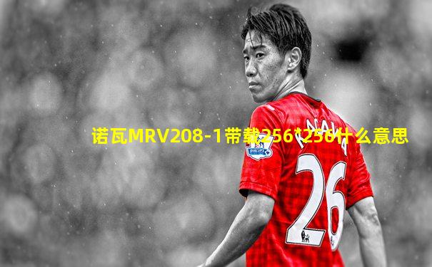 诺瓦MRV208-1带载256*256什么意思