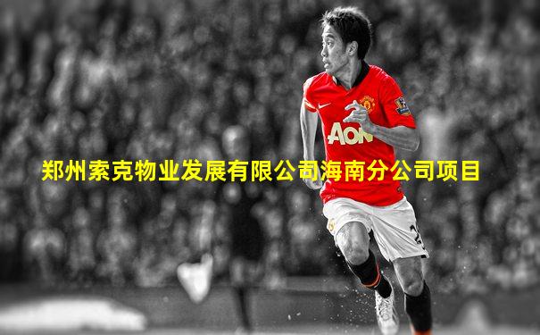郑州索克物业发展有限公司海南分公司项目