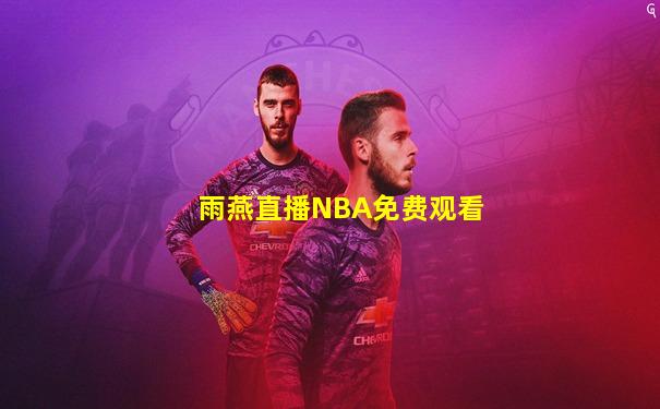 雨燕直播NBA免费观看