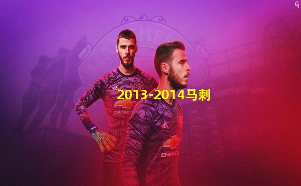 2013-2014马刺