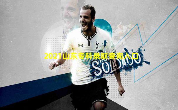 2021山东专科录取查询入口