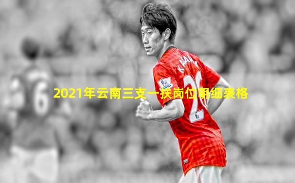 2021年云南三支一扶岗位明细表格