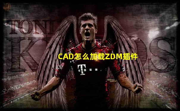 CAD怎么加载ZDM插件