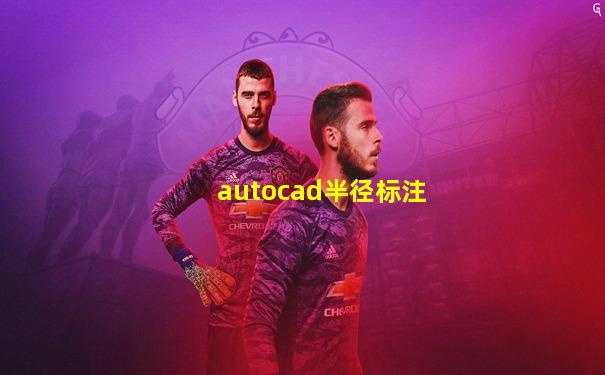 autocad半径标注
