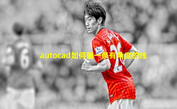 autocad如何画一条有角度的线