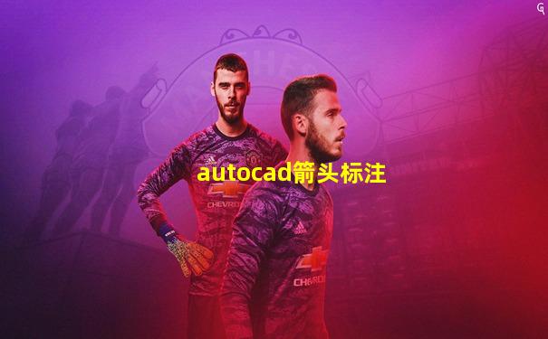 autocad箭头标注