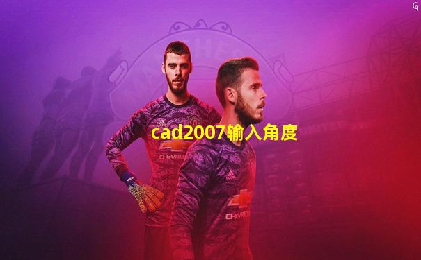 cad2007输入角度