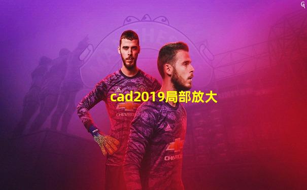 cad2019局部放大