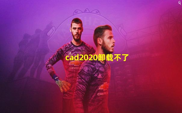 cad2020卸载不了