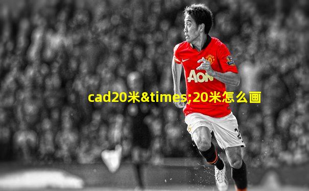 cad20米×20米怎么画
