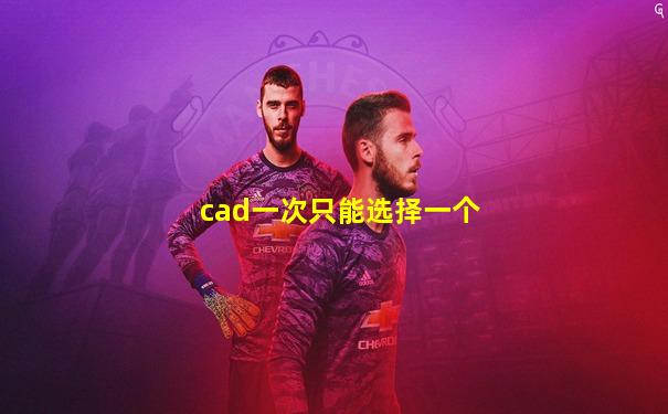 cad一次只能选择一个