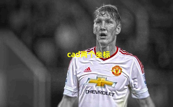 cad两个坐标