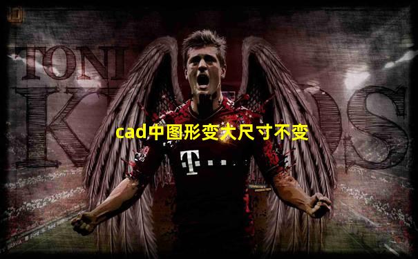 cad中图形变大尺寸不变