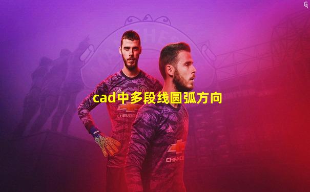 cad中多段线圆弧方向