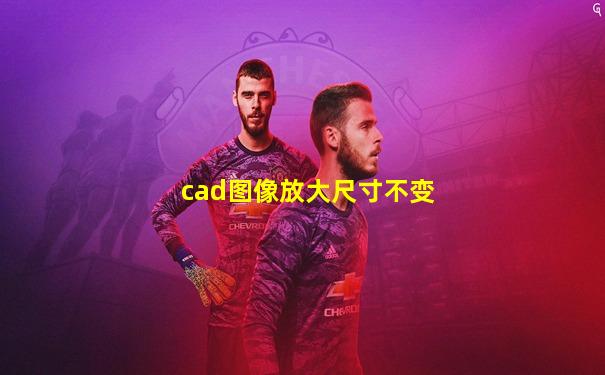 cad图像放大尺寸不变