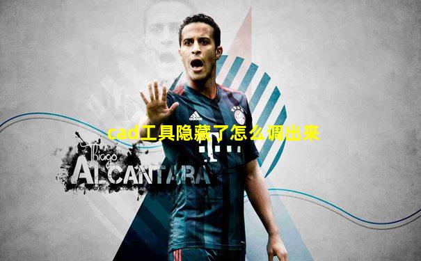 cad工具隐藏了怎么调出来