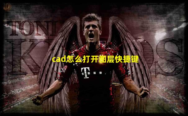 cad怎么打开图层快捷键