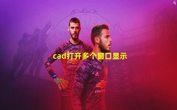 cad打开多个窗口显示